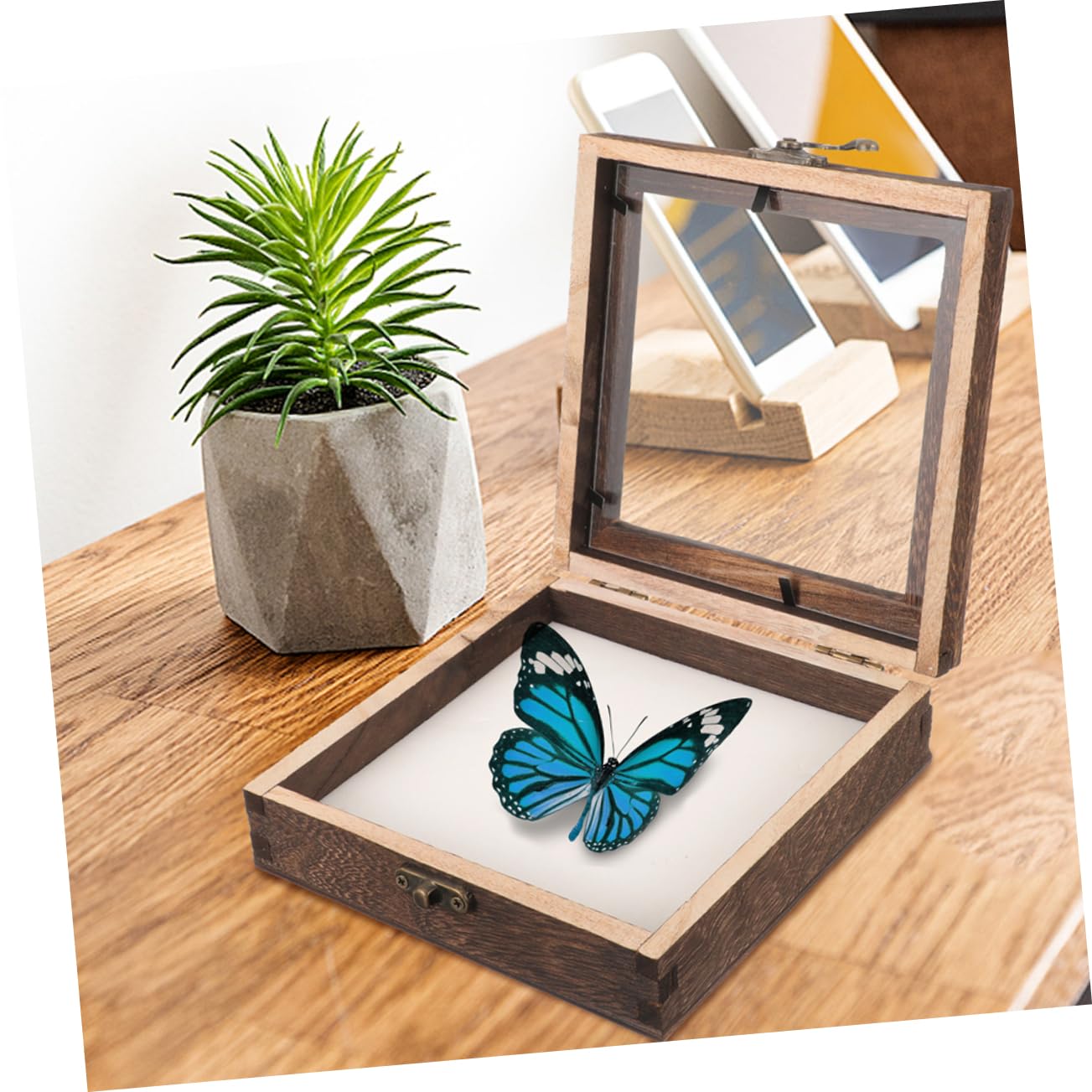 Happyyami Dried Flower Storage Case Insect Specimen Display Holder Vintage Wooden Box