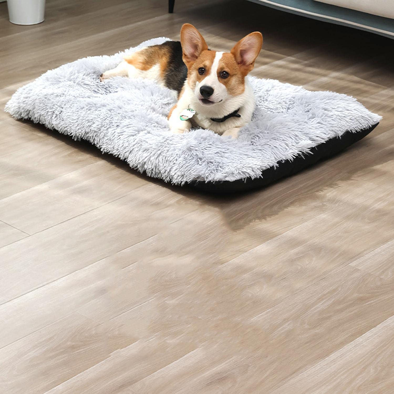 DanChen Cama para perros lavable, cojín grande para perros de peluche, alfombrilla antideslizante suave para perros, 65 x 48 cm, cama para mascotas, impermeable, XL, para perros medianos y gatos