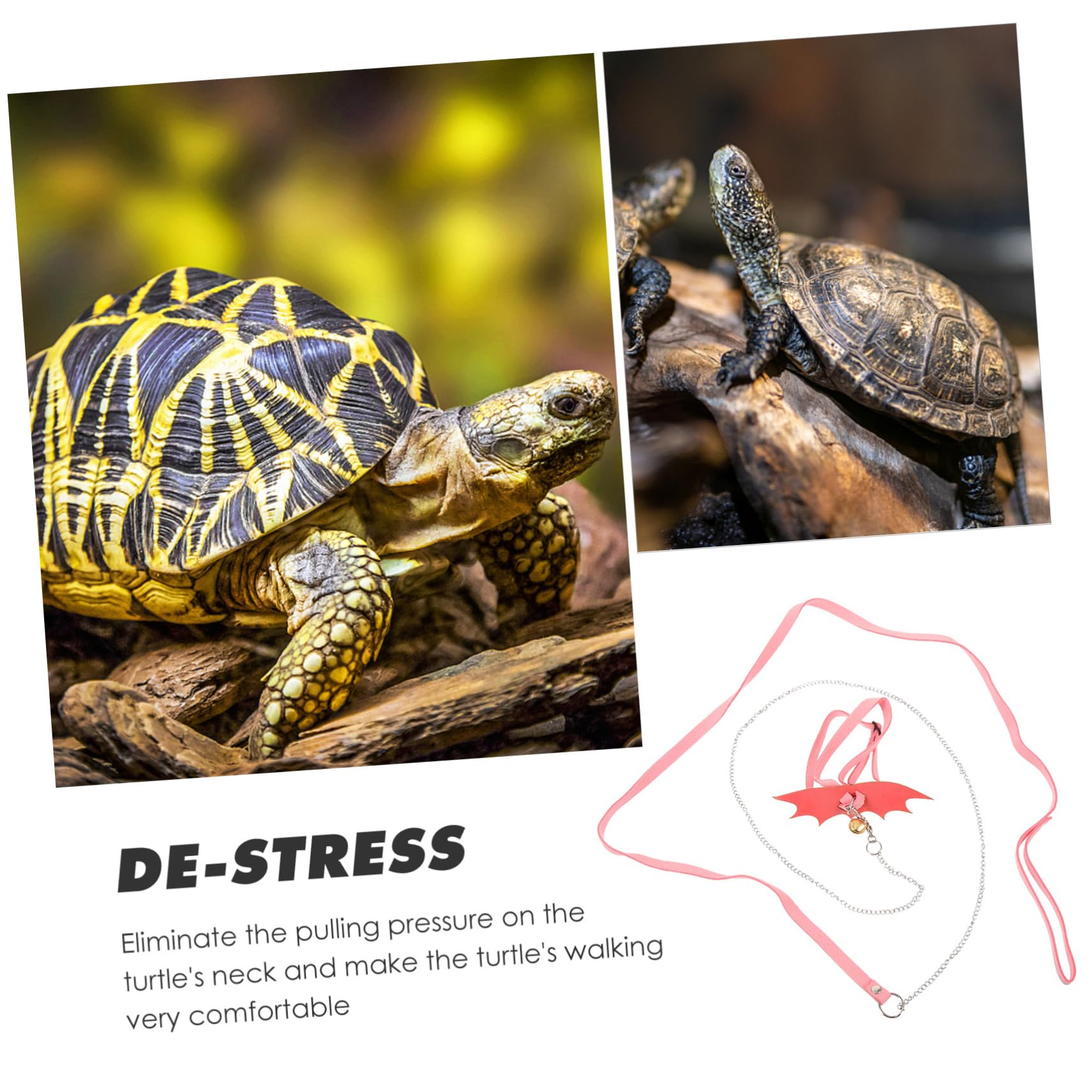 Pet Tortoise Harness Tortoise Walking Leash - Adjustable Suede Harness ...