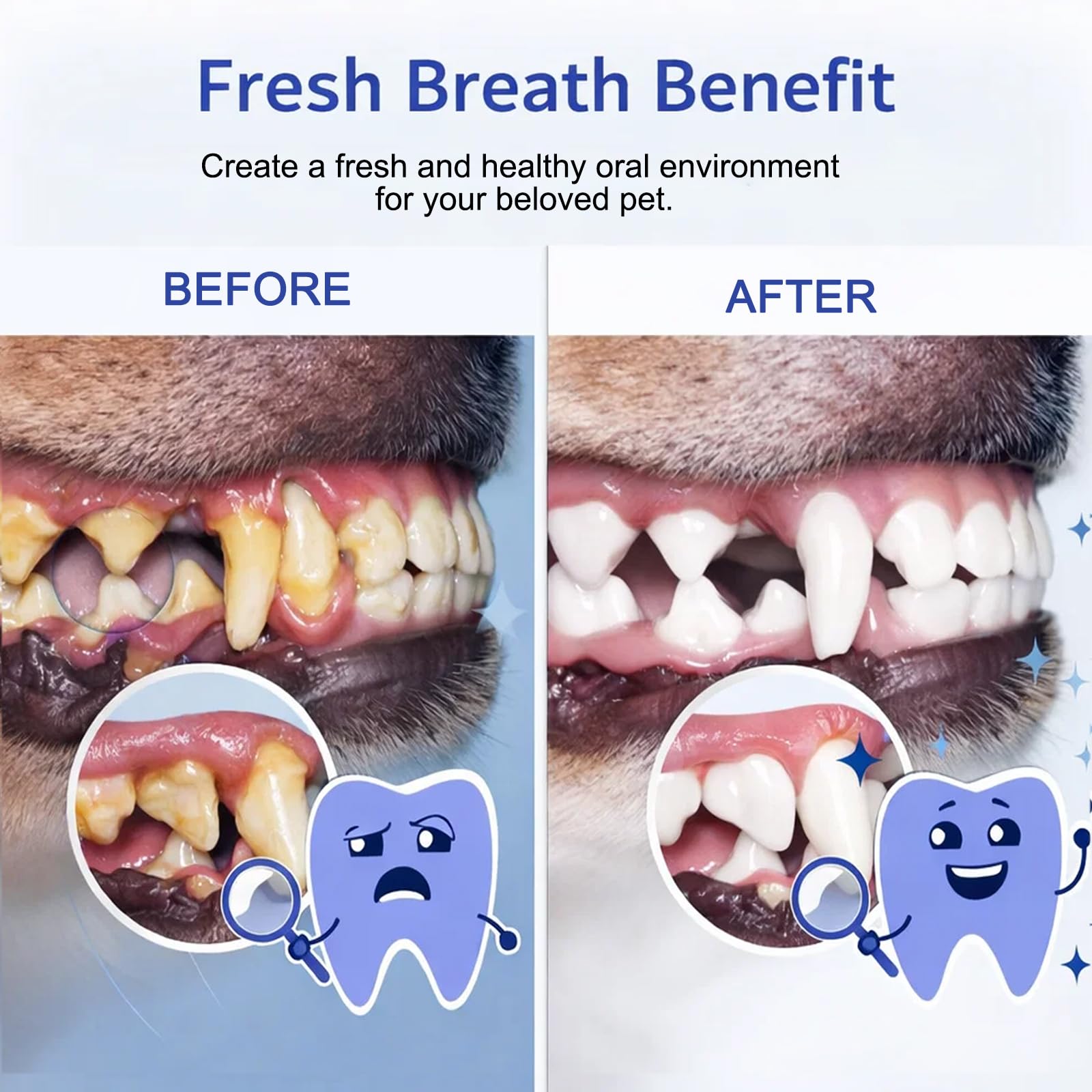 Dental Dog, 7.05oz Dog Water Additive for Dental Care, Dental para Perros, Specialized Dental Care Formula, Odorless & Flavorless Formula to Fight Tartar Promote Healthy Gums (1 PCS) - image 3