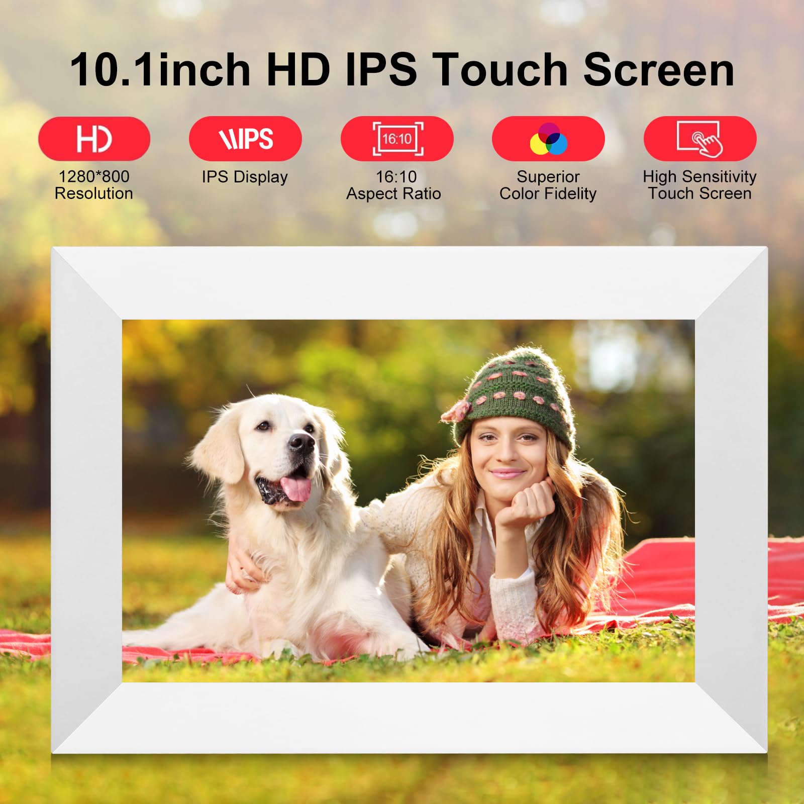 Cadre photo numérique Wi-Fi 10,1" 1280 x 800 IPS, mémoire 16 Go, fonction Smart Cloud, noir