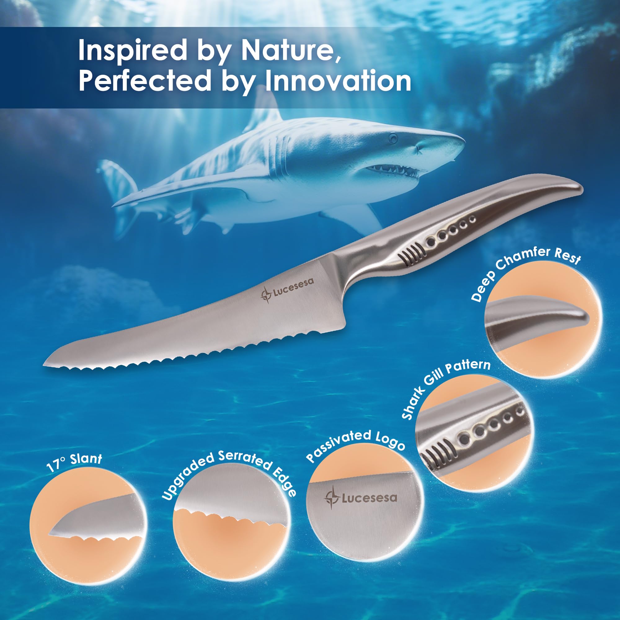 8" Bread Knife - Sharp Serrated for Sourdough & More -2