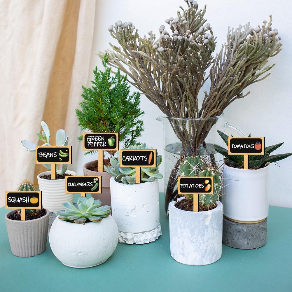 Amazon.com: arricraft 15 Pcs T-Shaped Wooden Plant Tags, Vegetable