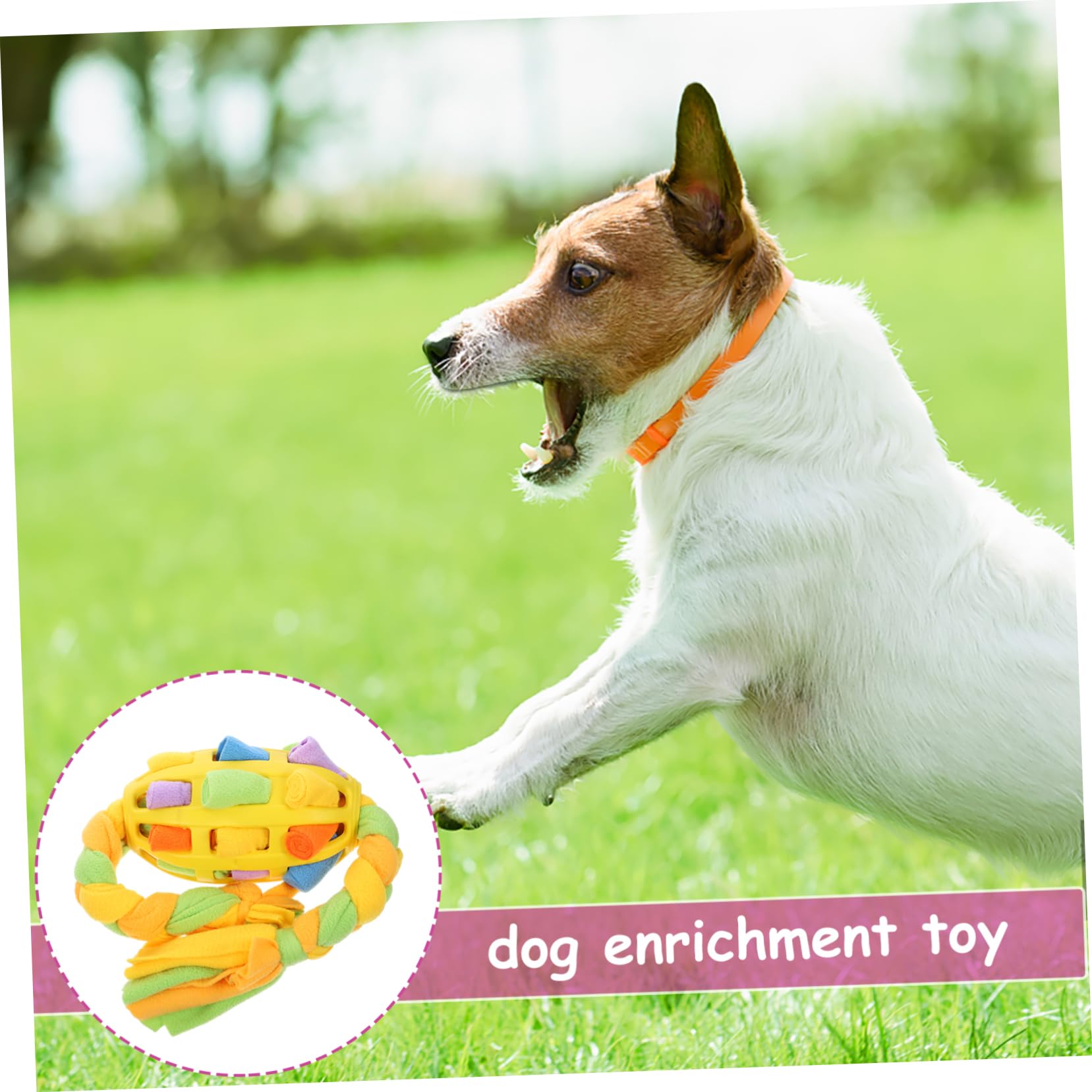 Toyvian Jouet à Renifler pour Chien Balle à Friandises Interactive Encourage La Recherche De Nourriture Mangeoire pour Entraînement