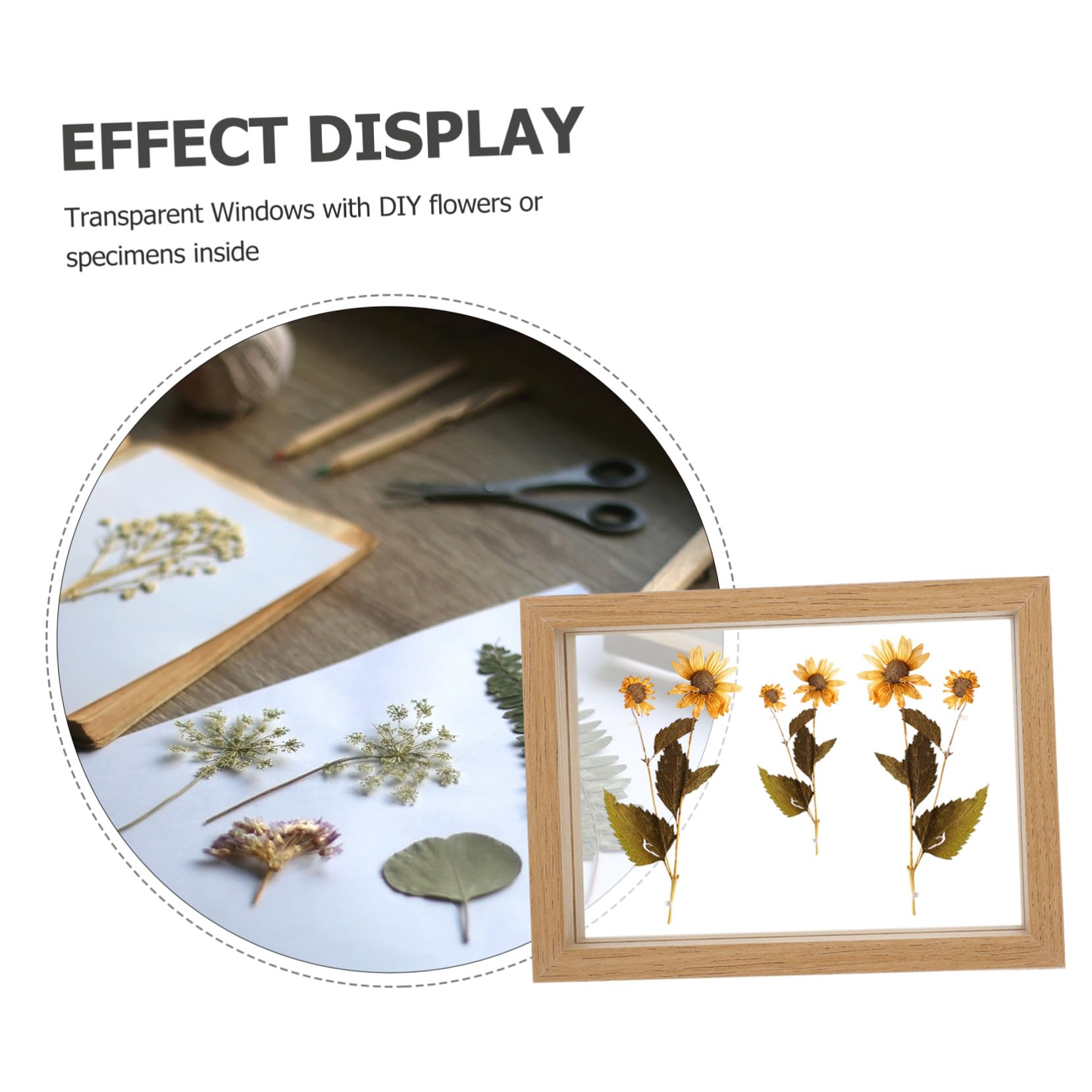 TOYANDONA Cornice Bifacciale in Vetro per Fiori Pressati Cornice in Legno per Esposizione Foto e Piante Finestra Trasparente per Proteggere Fiori Secchi Resistente alla Rottura