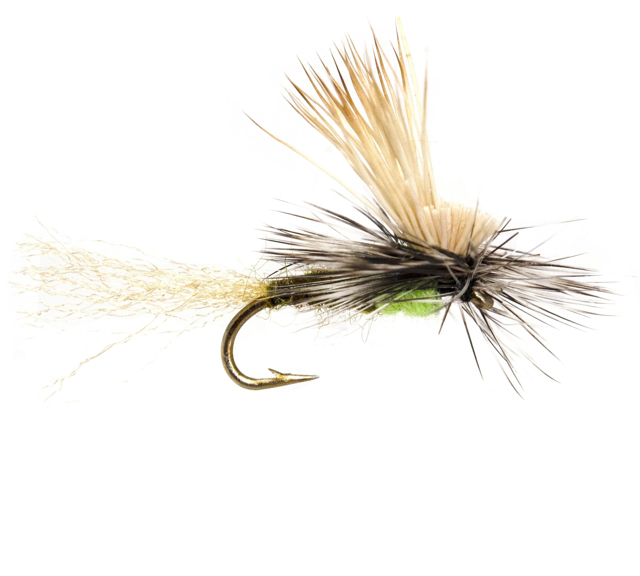 Amazon | 36個のプロデュース フライフィッシングフライ 詰め合わせ