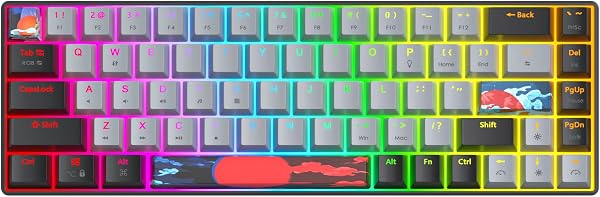 SOLIDEE tastiera da gioco meccanica al 65%,tastiera cablata compatta retroilluminata a LED RGB a 68 tasti con cavo USB di tipo C rimovibile,tastiera da con interruttore rosso lineare per Win(68 Dolch) - 2