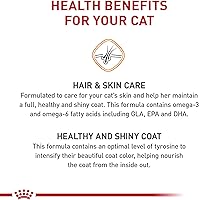 Vista 4 de Royal Canin Cuidado del cabello y la piel Alimento seco para gatos, bolsa de 7 libras