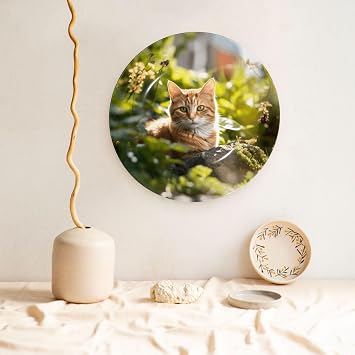 PHAYAH Cat in The Garden Pattern Bone China Decorative Plate 8in with Display Stand Dinner Plates for Home Study and Entryway Office Decor