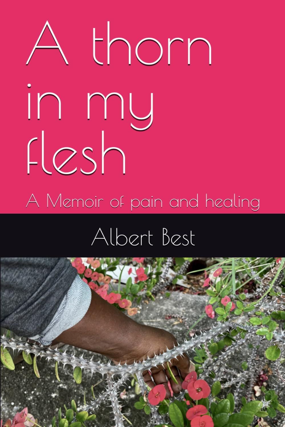 A thorn in my flesh: A Memoir of pain and healing