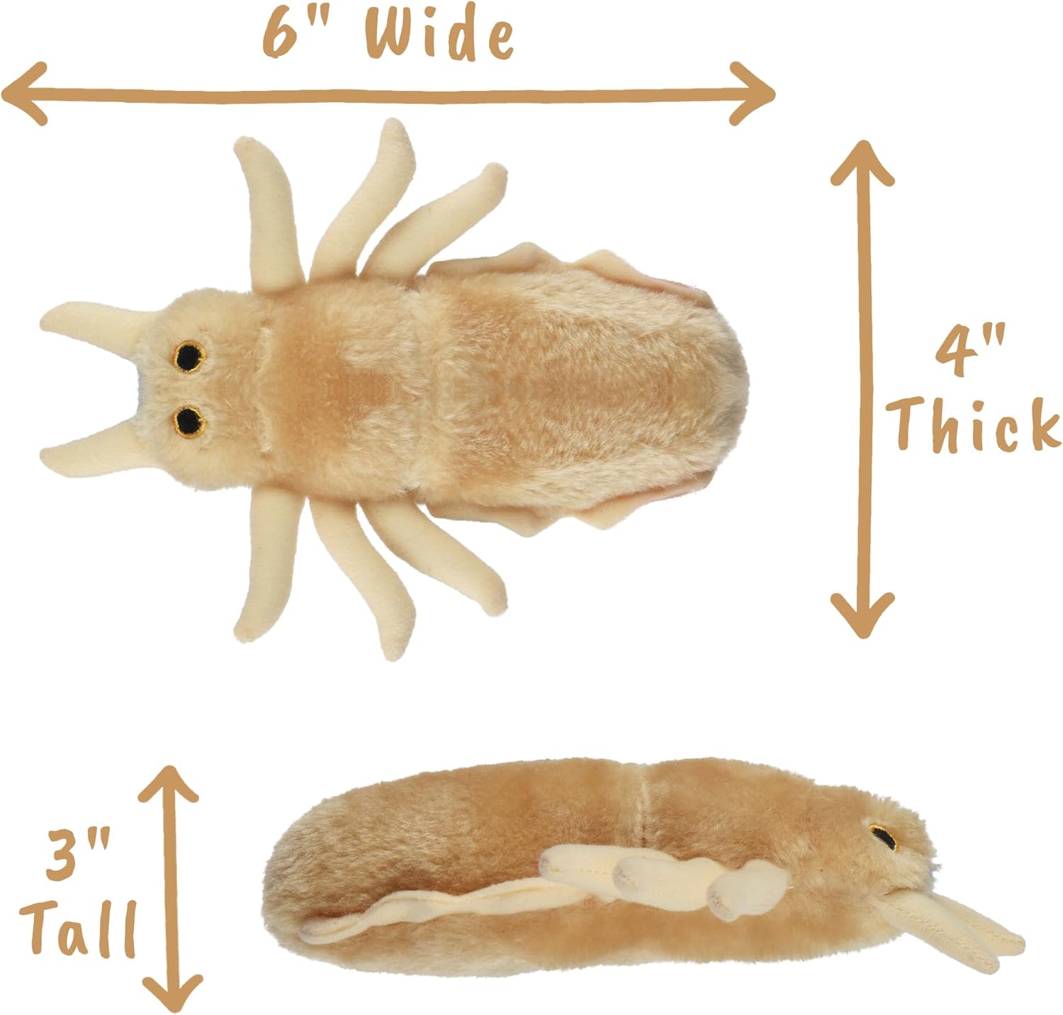 Giant microbes Louse Plush – Learn About Lice and How to Treat Them, Fun Educational Gift for Family, Friends Doctors, Nurses, Scientists, Insect Lovers and All with a Healthy Sense of Humor