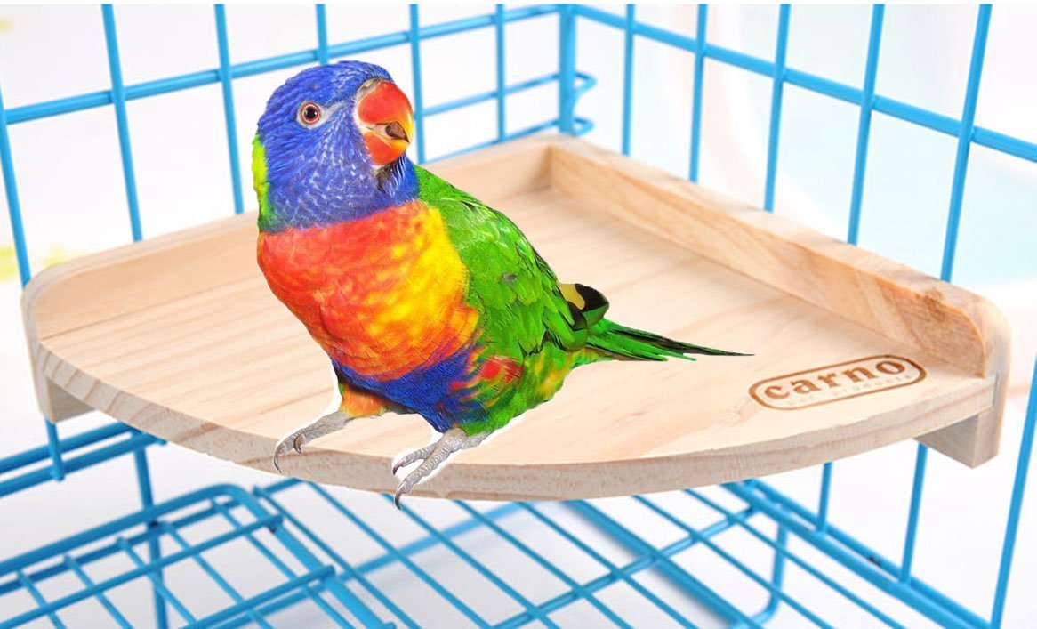 Parrot Perch Wood Parrot Flat Perch Platform – Bird Cage Landing Shelf ...