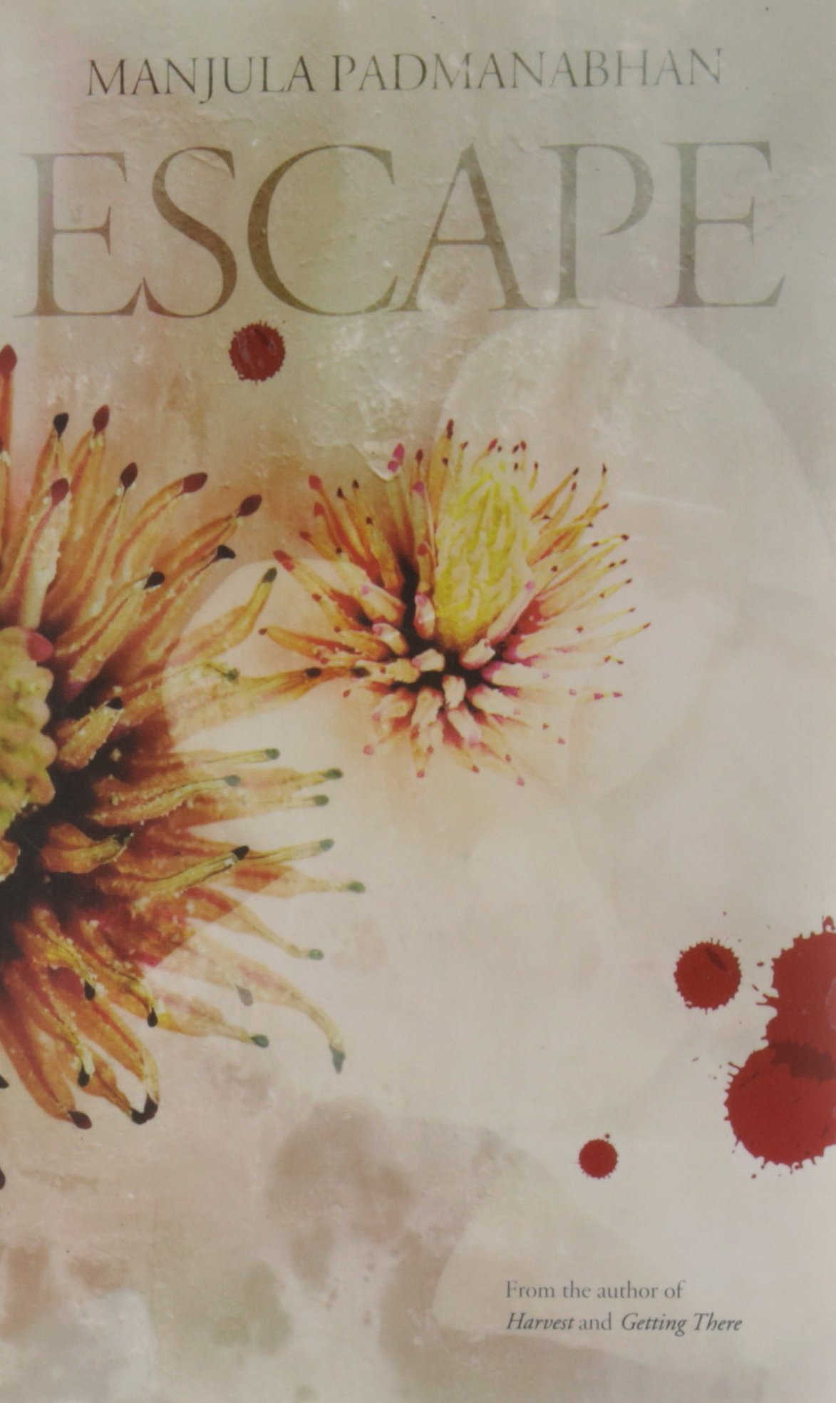 Cover of Escape