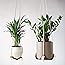 hangee Hanging Planter - 2 PCS Genuine Leather Plant Hangers Indoor 4.5in and 8in - Minimalist, Modern, Boho and Rustic Hangi
