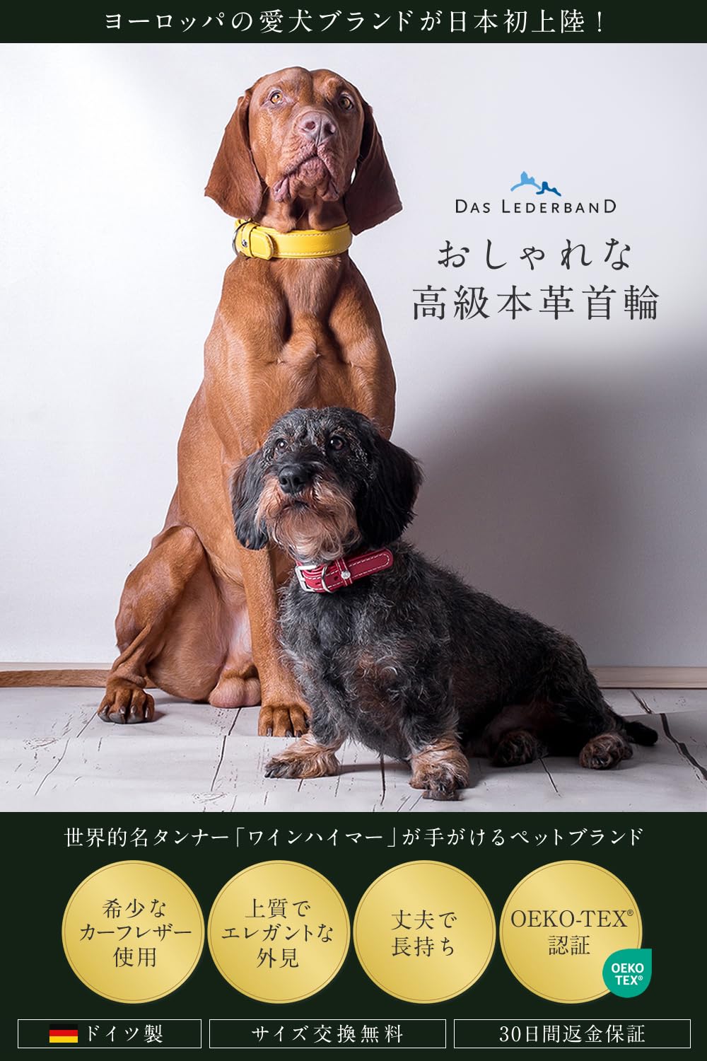 Amazon | 【水洗い可能！皮膚の弱いワンちゃんに最適！】ドイツ製 高級