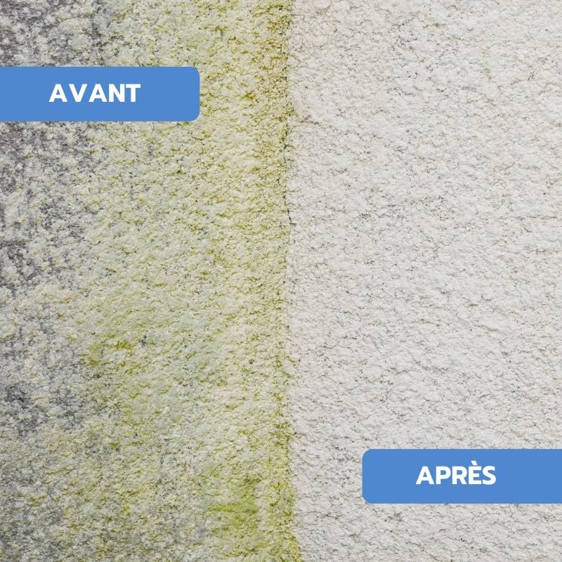 Phoenix - Anti Mousse toiture 10L, terrasse et façade - Nettoyant concentré Anti-Mousse, prévient la réapparition des mousses et lichens - Application Facile et préventive 10L
