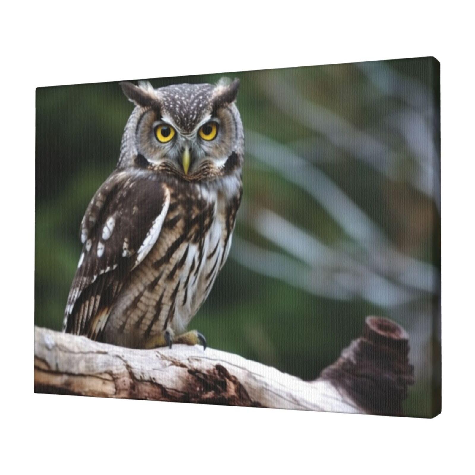 FodPand Canvas Wall Art for Living Room Wall Decor 12"x16" Modern Artwork Painting Pictures Hanging Canvas Prints Wild Owl Birds Aesthetic Wall Art for Bedroom Bathroom Office Wallart Decor