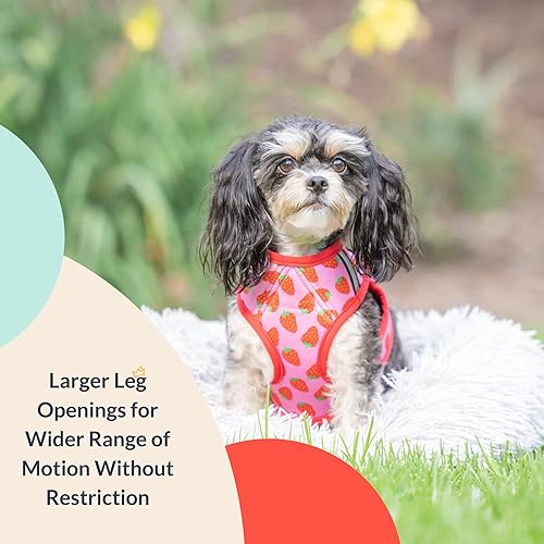 Miniatura 4 de Huxley & Kent Hudson Harness  Fresa (XXS, 2-6 libras)  Arnés de malla fácil de controlar para perros con tiras reflectantes para seguridad  H&K