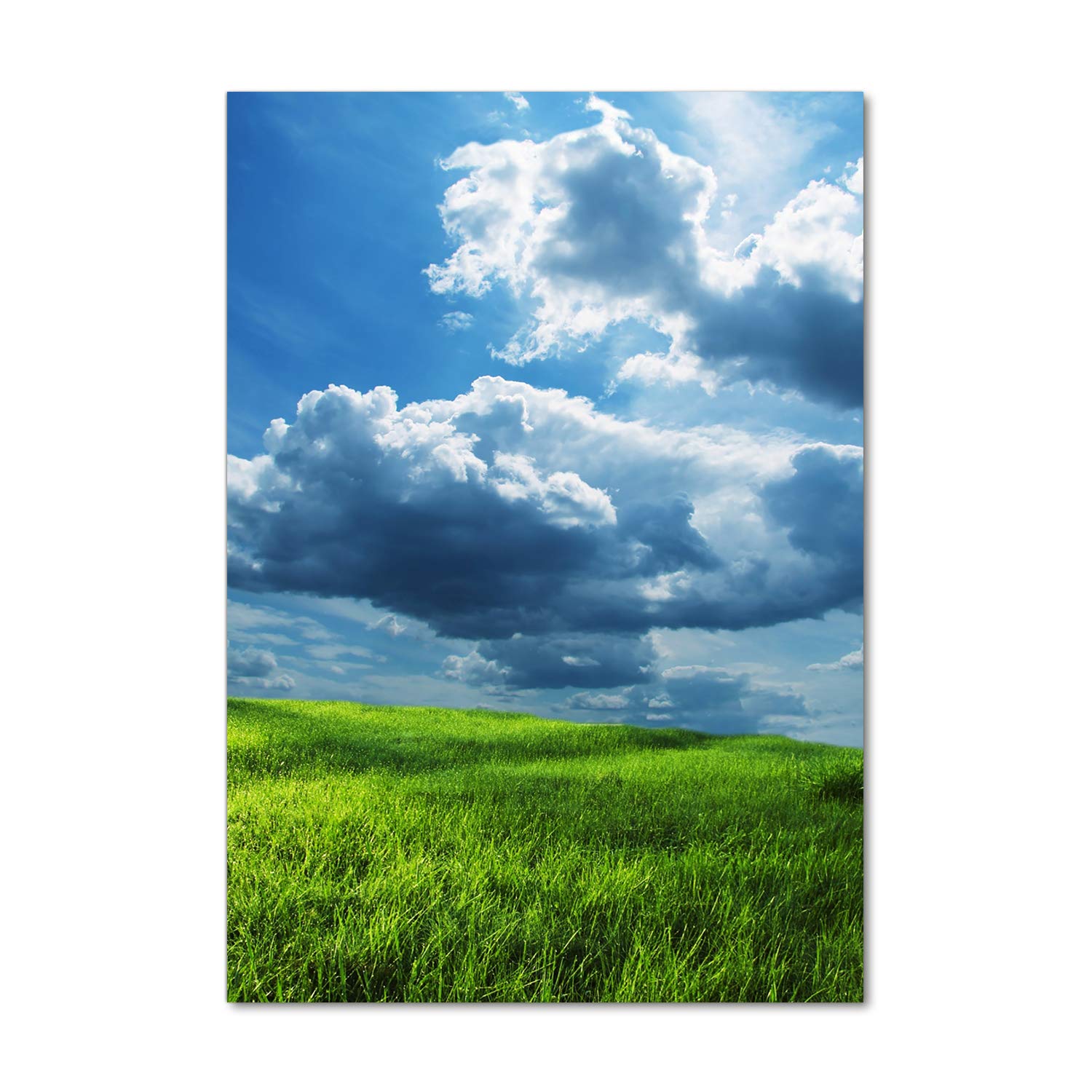 Mural art Tulup en verre acrylique incassable 70x100 cm paysage nature vert