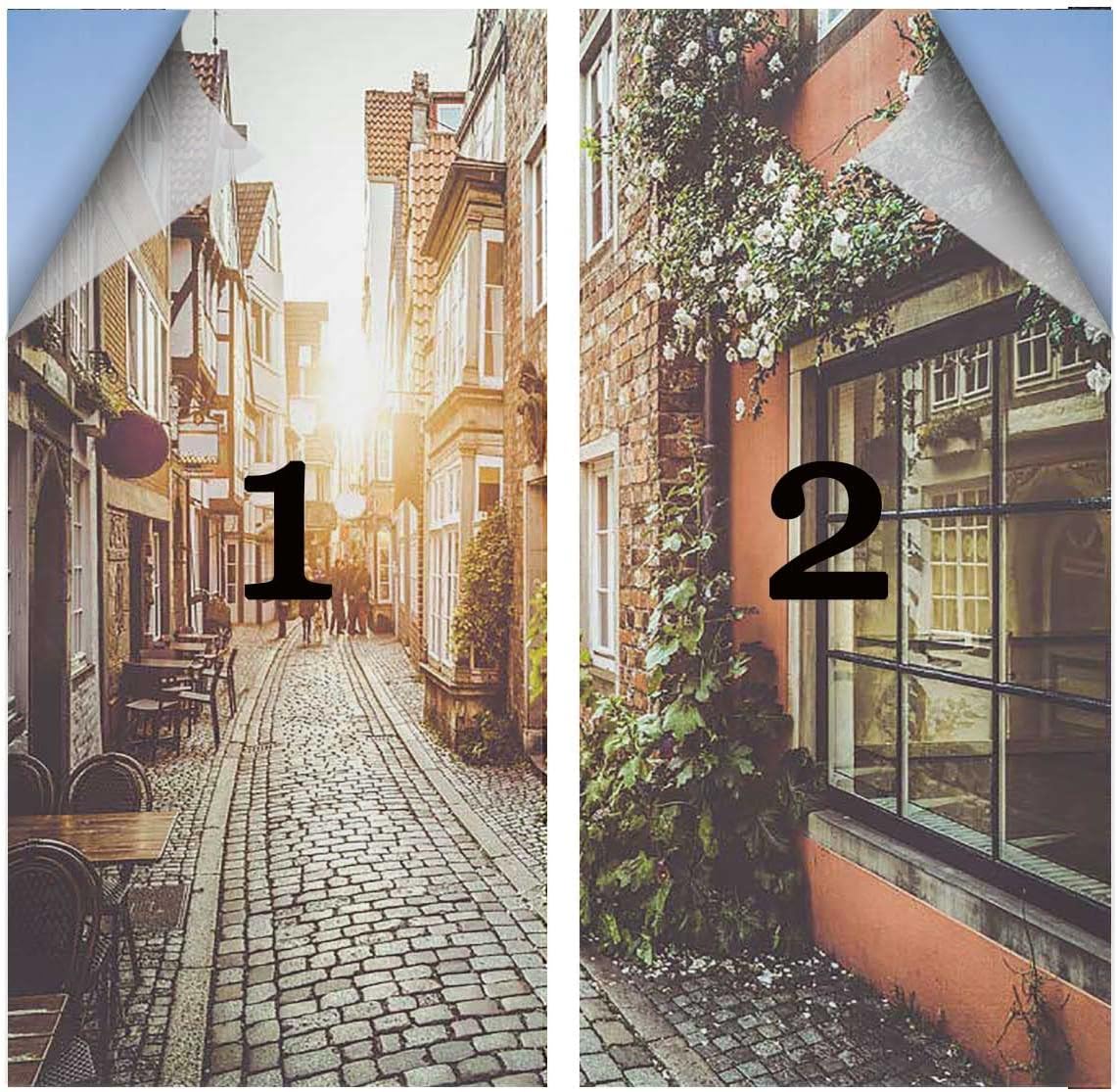Frosted Static Cling Window Film Scenes from Europe Vintage Window Film Privacy Non See Through Frosted Window Cling 23.6Wx78.7L-inch x2 Pcs