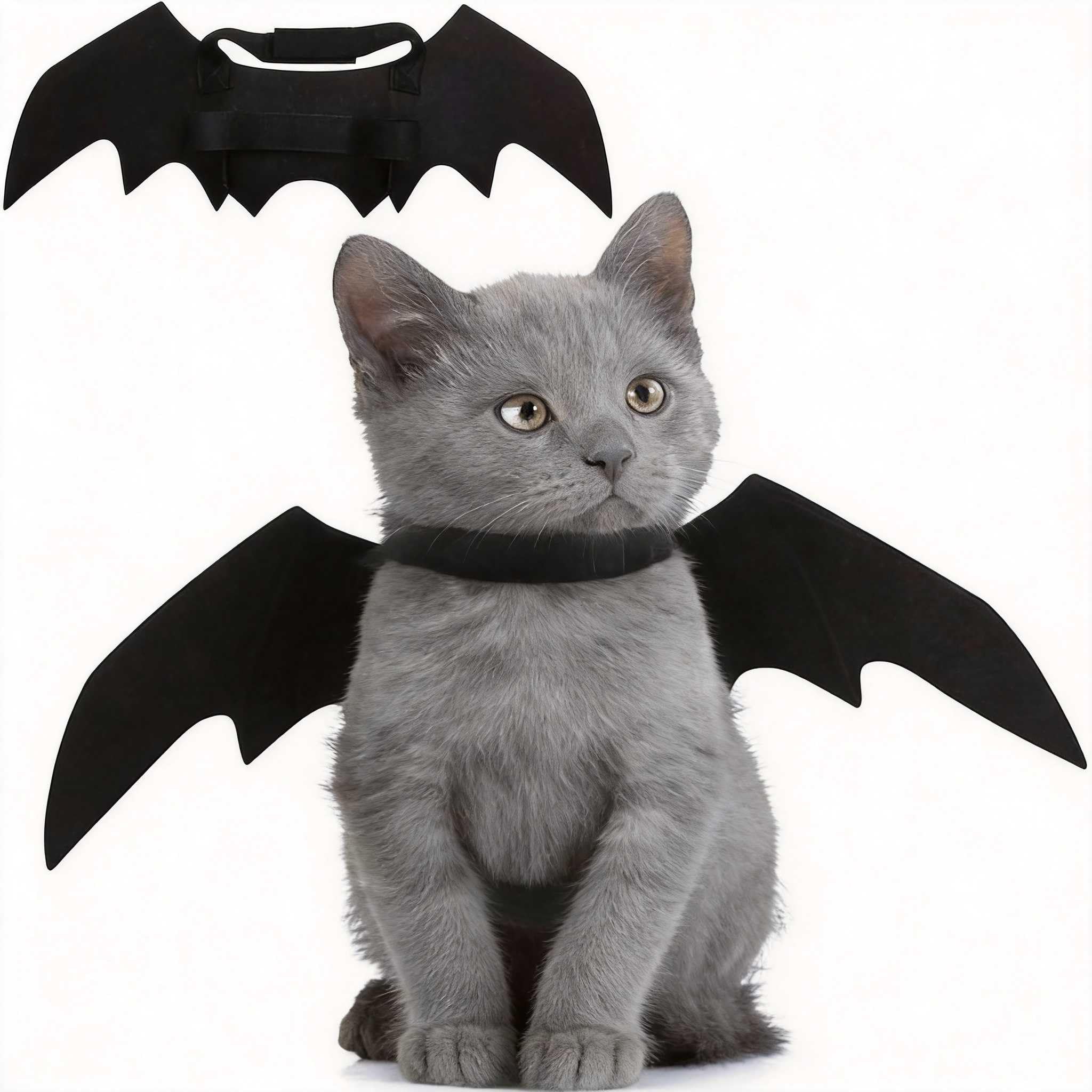 Yulun0328 Pet Cat Bat Wings for Halloween Party Decoration, Puppy Funny Cosplay Bat Costume,Cute Puppy Cat Dress Up Accessories