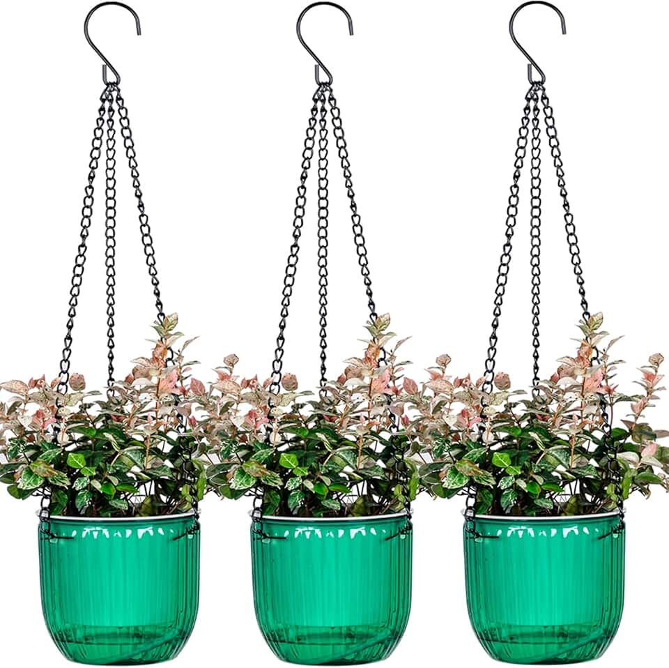 Hanging Planters