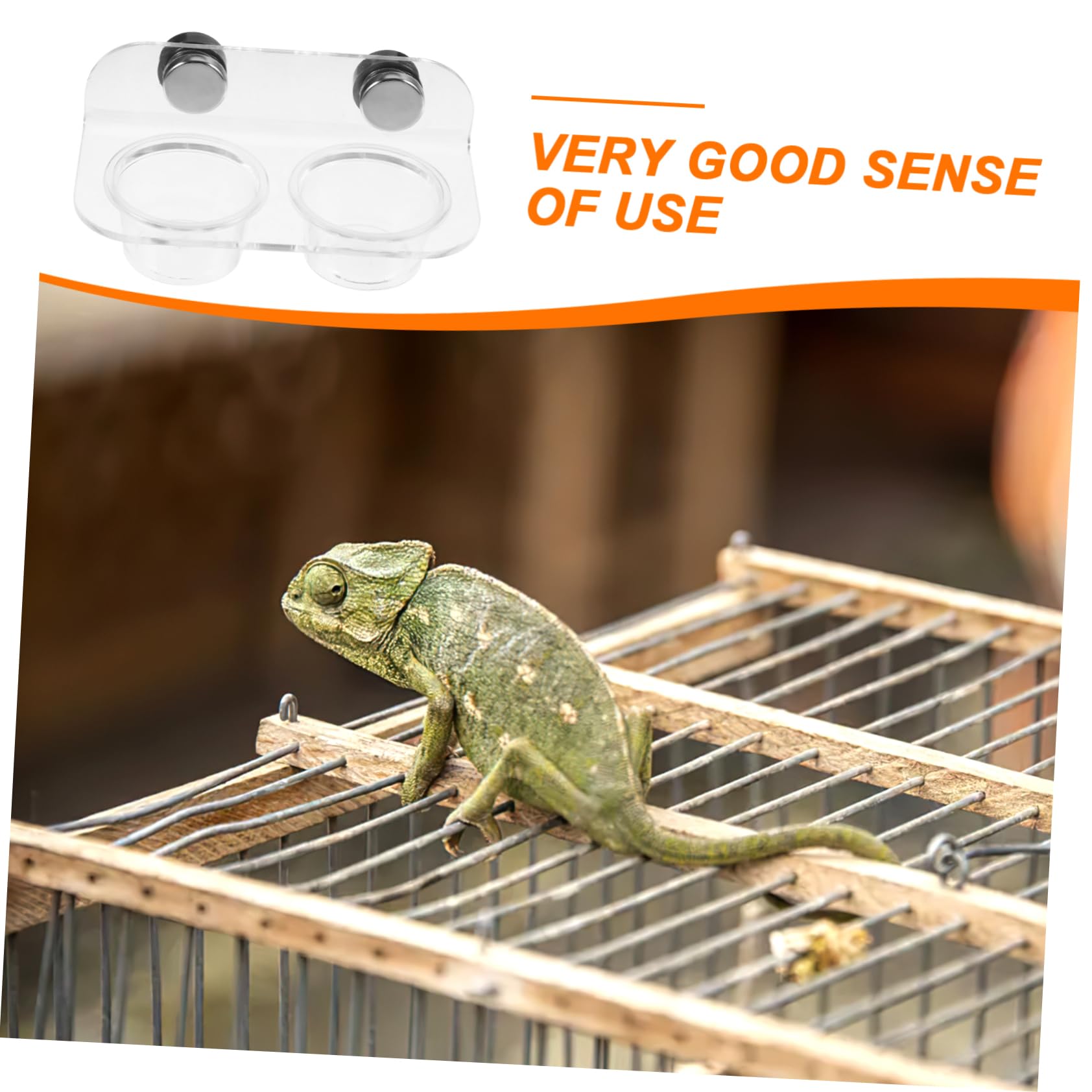 Yardwe 5 Juegos De Alimentador De Agua Magnético Terrario para Animales Alimentador De Gecko Repisa De Alimentación para Gecko Cuenco De Alimentación para Reptiles Recipientes para