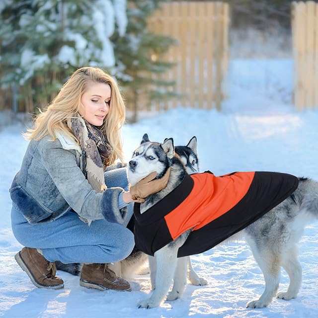 Foto 2 de 6 de PETCUTE Chaqueta de Invierno para Perros, Abrigo para Perros Impermeable con Anillo en D