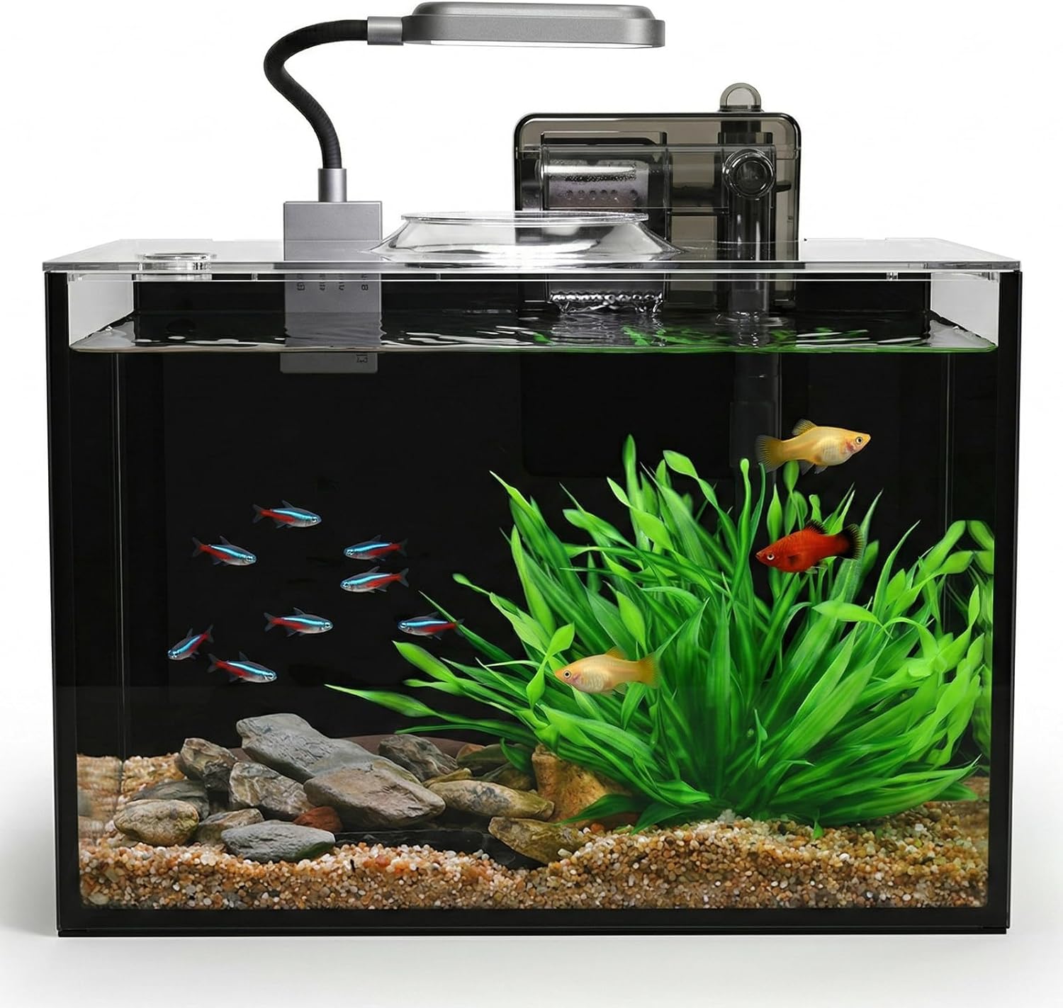 2.5 Gallon Small Aquarium Set Glass Fish Tank,Desktop Small Aquarium Kit for Beginners and Children to Keep Betta Fish, Goldfish, Shrimp, and Aquatic Plants (Black, 2.5 Gallon (Complete Kit) ﻿)
