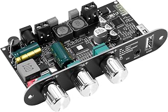 ZK-1001U Bluetooth 5.3 Mono Amplifier HiFi Stereo with TWS & Boost Circuit, 100W Output, Mini Audio Amplifier for Home and Outdoor DIY Speakers, USB/AUX/BT Input, DC 9-24V