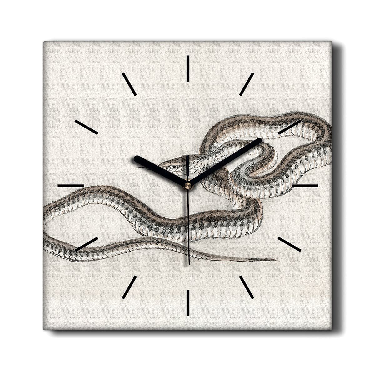 Horloge sur Toile 30x30cm Silencieuse Coloray Salon Décoration Murale Serpent Zen