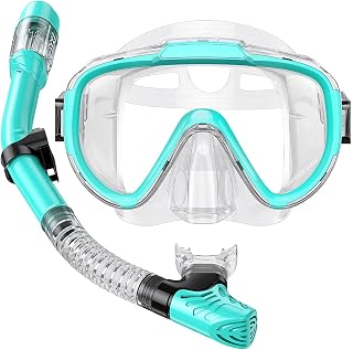 Seovediary Adult Snorkel Set: Anti-Fog Panoramic Mask, Dry Top Snorkel, Leak-Proof Gear Kit with Carry Bag for Diving Swimming