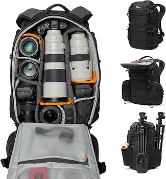 Amazon.com : Lowepro ProTactic BP 450 AW III Camera Backpack, 4