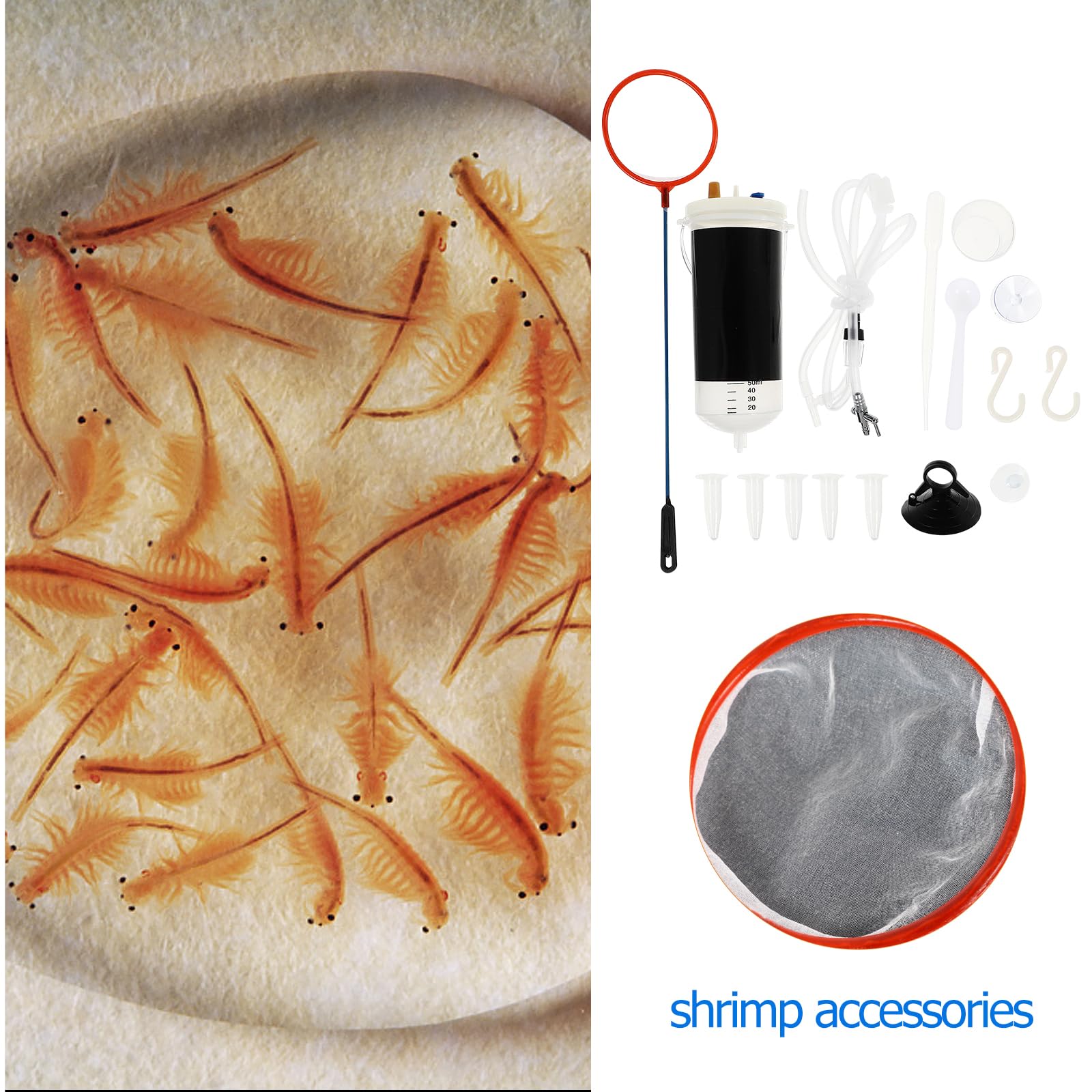 FRCOLOR 2 ensembles d'incubateur Artemia Crevettes Saumure Élevage de crevettes pour poissons Outils Artemia Œufs écloserie Poissons Écloserie Aquarium Plastique Crevettes Œufs