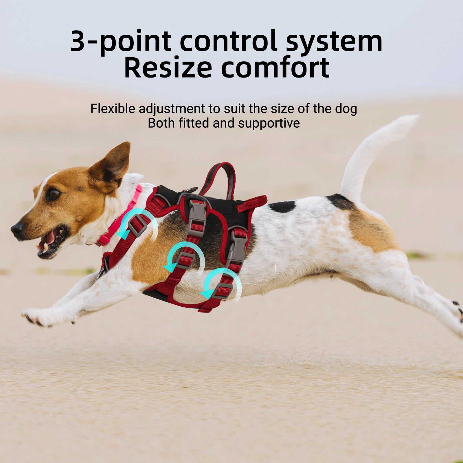 Harnais Anti Traction pour Chien - Arnet Réfléchissant Reglable Harnet en Y Harnais Canicross Chien pour Chiot Petit et Moyen Chiens, Noir + Anneau de Poitrine, L