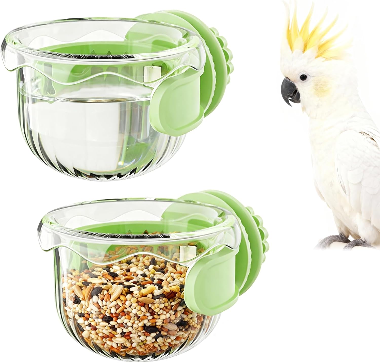 Photo inspiration: Picture Idea: Amazon Com Parrot Feeder Set 2 Piece Hanging Parrot Feeder