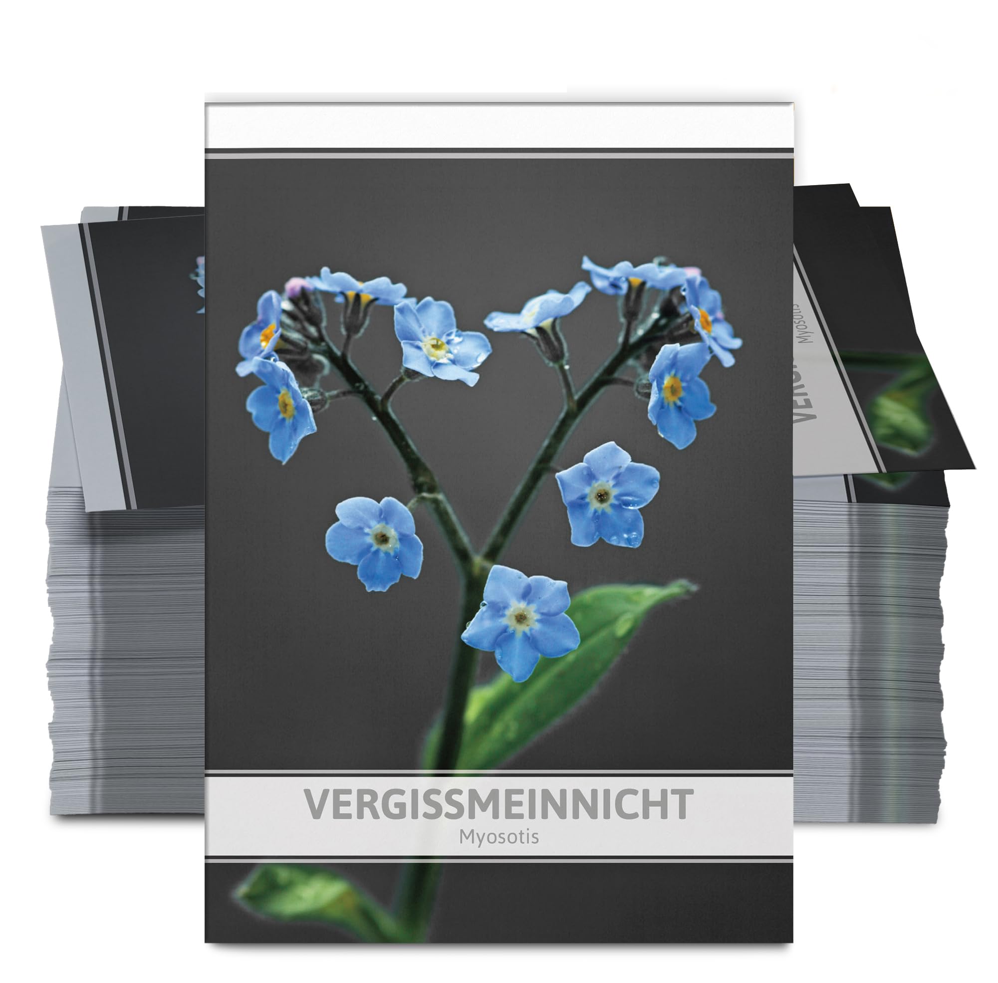 100 Vergissmeinnicht Samentütchen Leer – Für Beerdigungen, Gedenkfeiern | Gastgeschenke