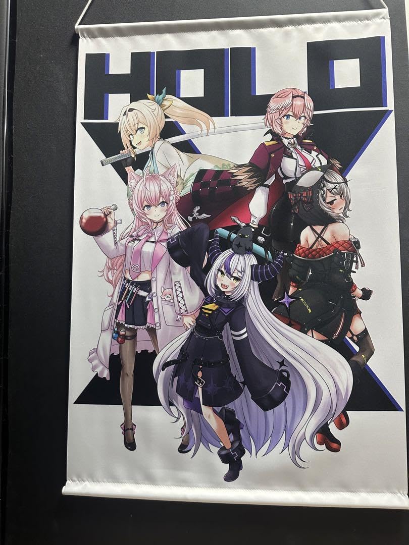 Amazon.co.jp: 会場限定ホロックス全員集合B2タペストリー : おもちゃ