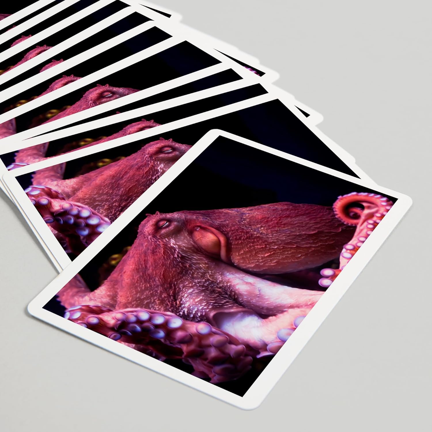 Lantern Press Red Octopus, 52 Playing Cards for Adults, Poker Size Card Deck