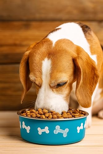 Miniatura 4 de Cuenco de alimentación antideslizante de acero inoxidable para perros pequeños, cachorros, gatos, acero inoxidable, antideslizante, fácil de limpiar