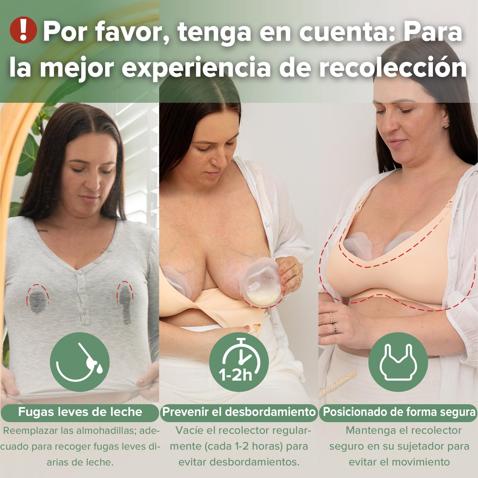 haakaa Petal Soft Silicone Leche Colector 丨 Copa de recolección de leche de conchas de mama reutilizables para la lactancia materna con cepillo de limpieza- 1PC