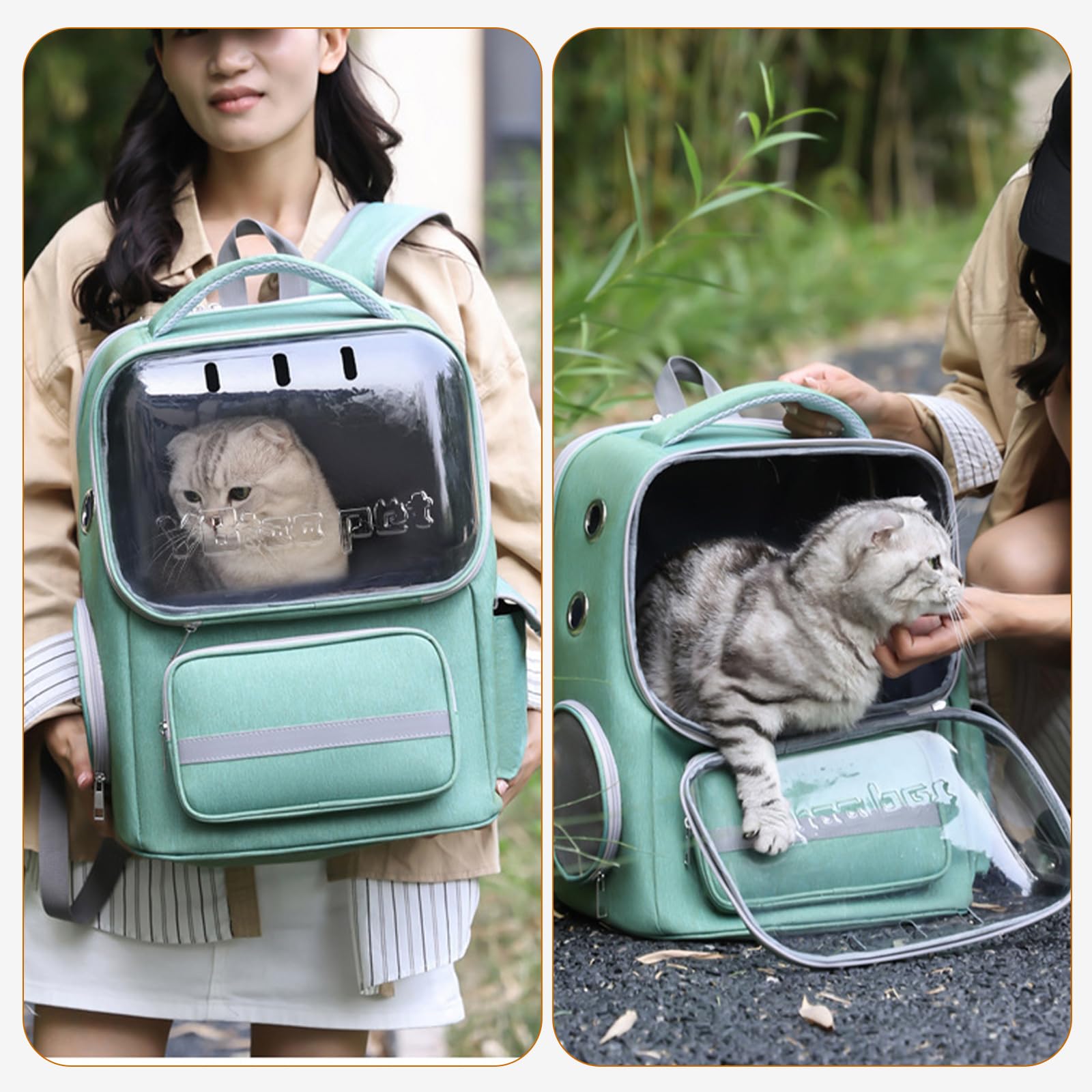 PETCUTE Sac à Dos de Transport pour Chat, Sac à Dos Respirant pour Petits Chats et Chiens avec Tapis Amovible, Réfléchissant,Sacs de Transport pour Chat avec Sangle de Sécurité Intérieure,Vert