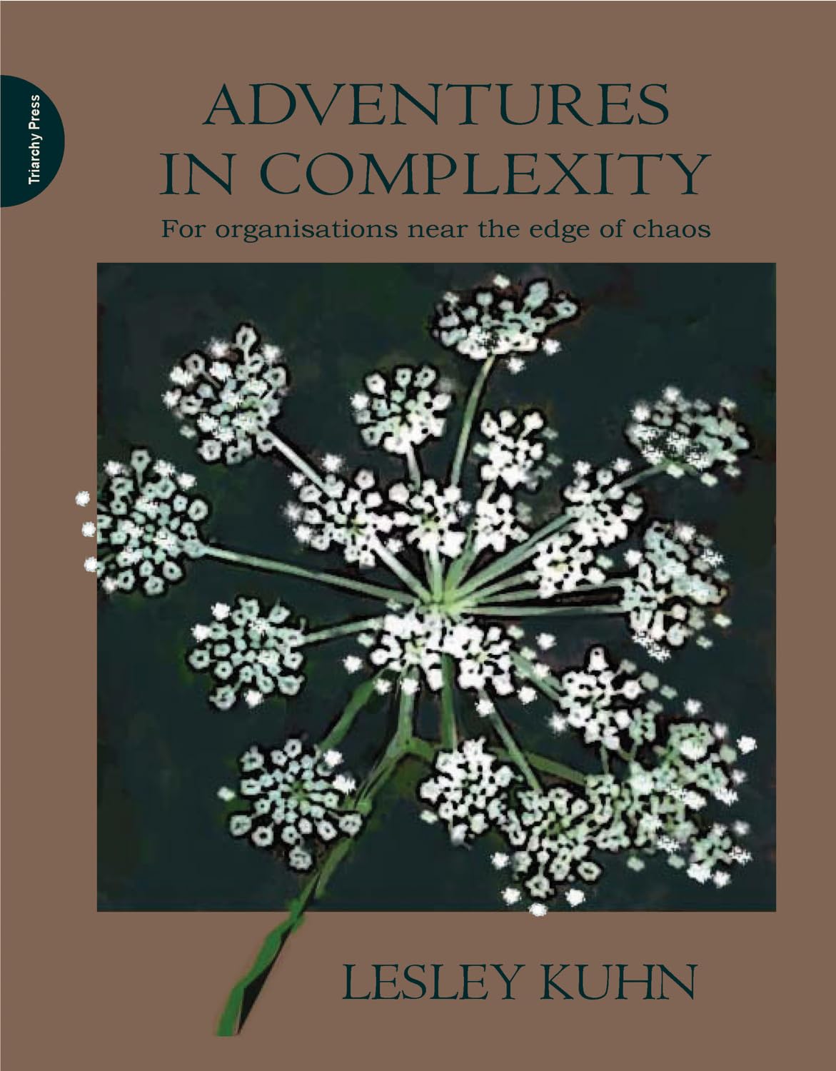Buy Adventures in Complexity: For Organisations Near the Edge of Chaos — BookShops.in