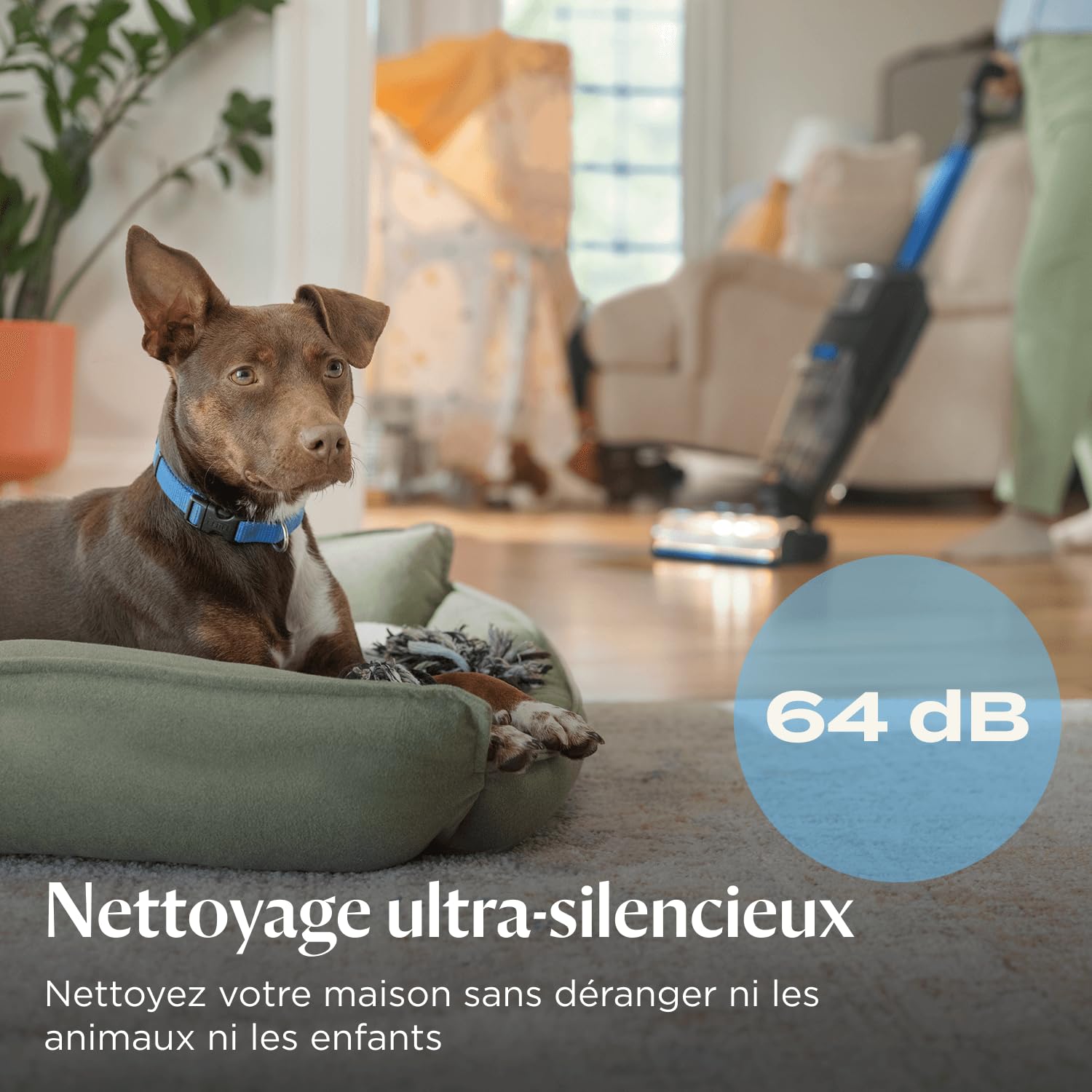 BISSELL CrossWave OmniFind, Aspirateur Balai Laveur Sans Fil, Aspire & Lave en Même Temps, LED FurFinder pour Détection Facile de Saletés & Poils d'Animaux, Nettoyeur a Eau Multi-surfaces 185m², 4006N