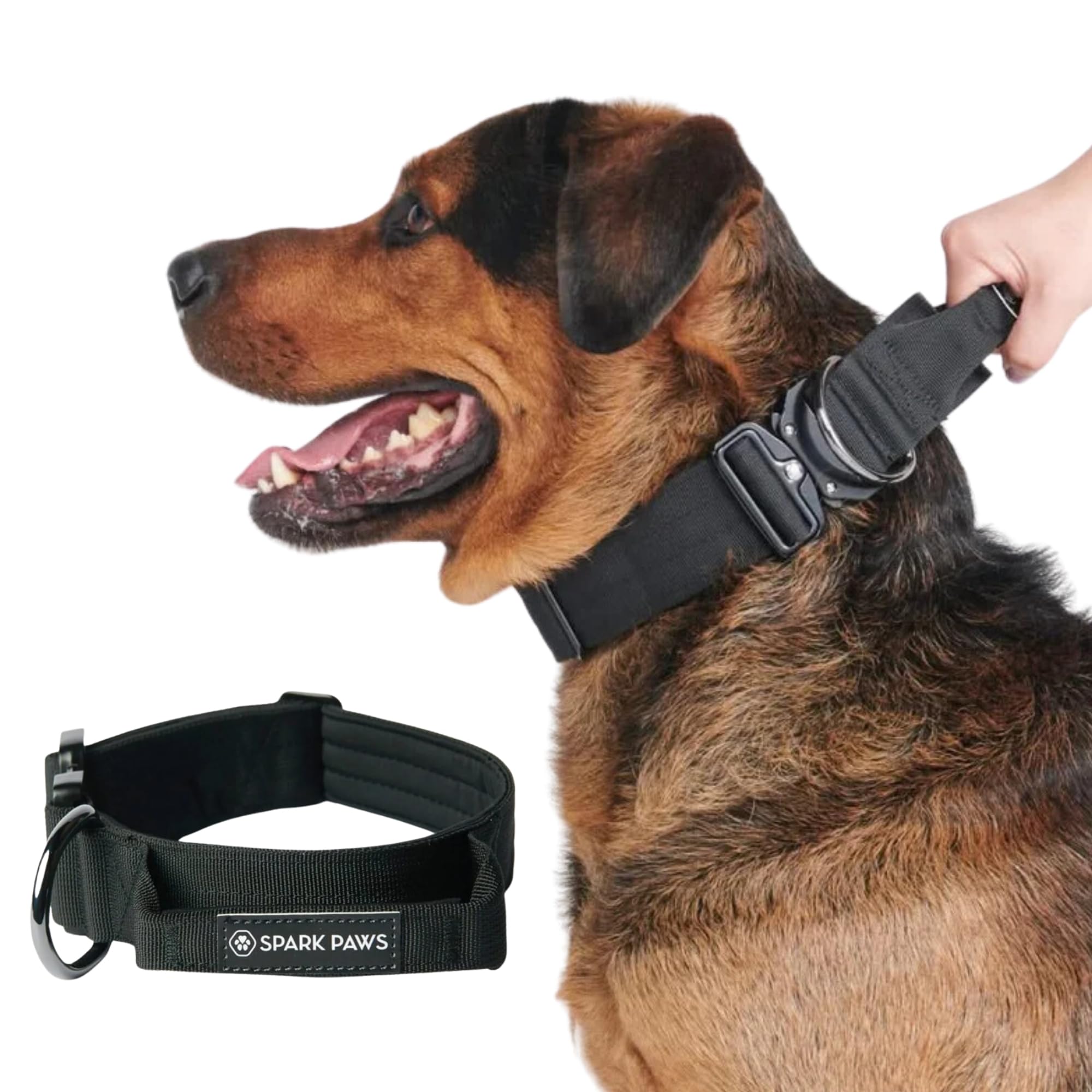 balloony hundefutter Darmschonendes Nassfutter - Truthahn main image 0