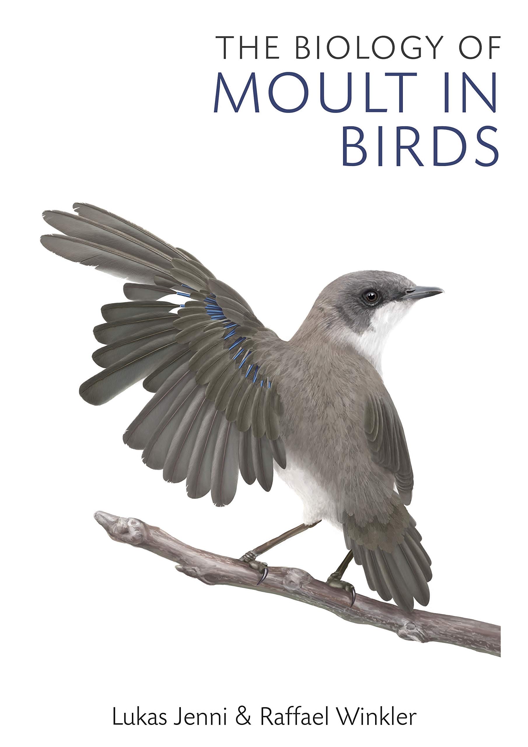 Buy Biology of Moult in Birds: The Past and Future of Britain's Lost Mammals — BookShops.in