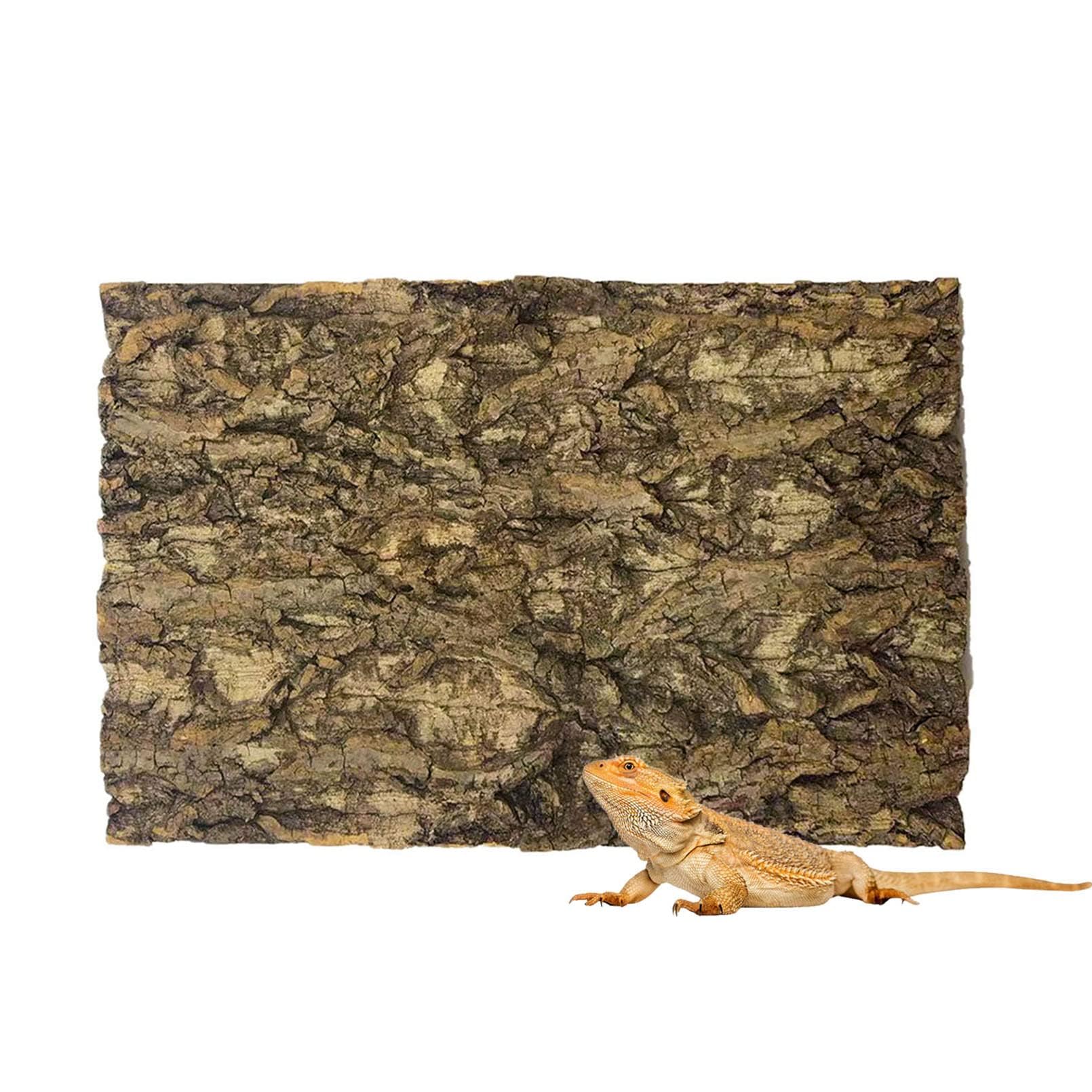 Fond en écorce de liège pour terrarium anti-stress pour lézard et gecko
