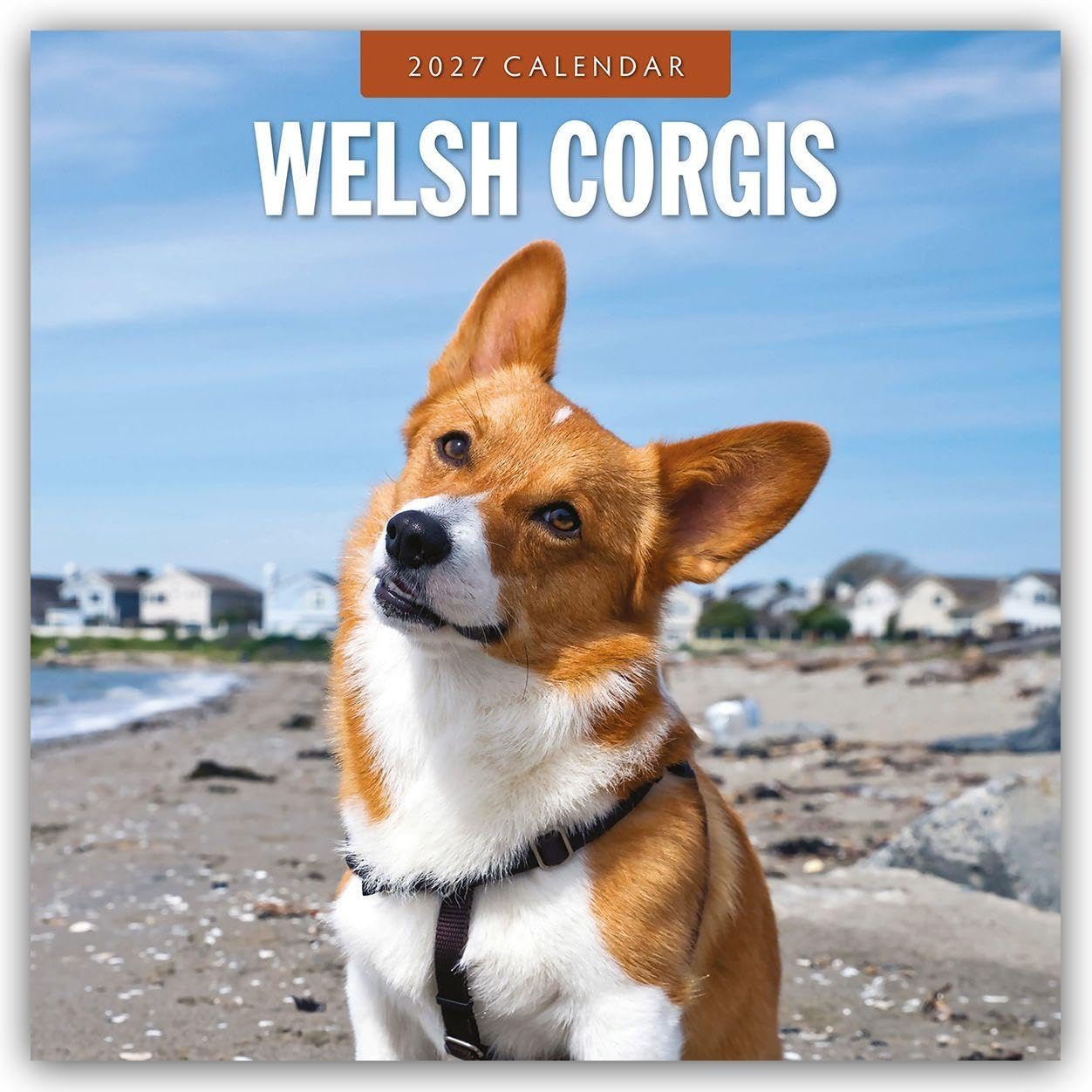 Welsh Corgis – Welsh Corgi 2027 – 16-Monatskalender: Original Red Robin Publishing Ltd-Kalender [Mehrsprachig] [Kalender] (Wall-Kalender)