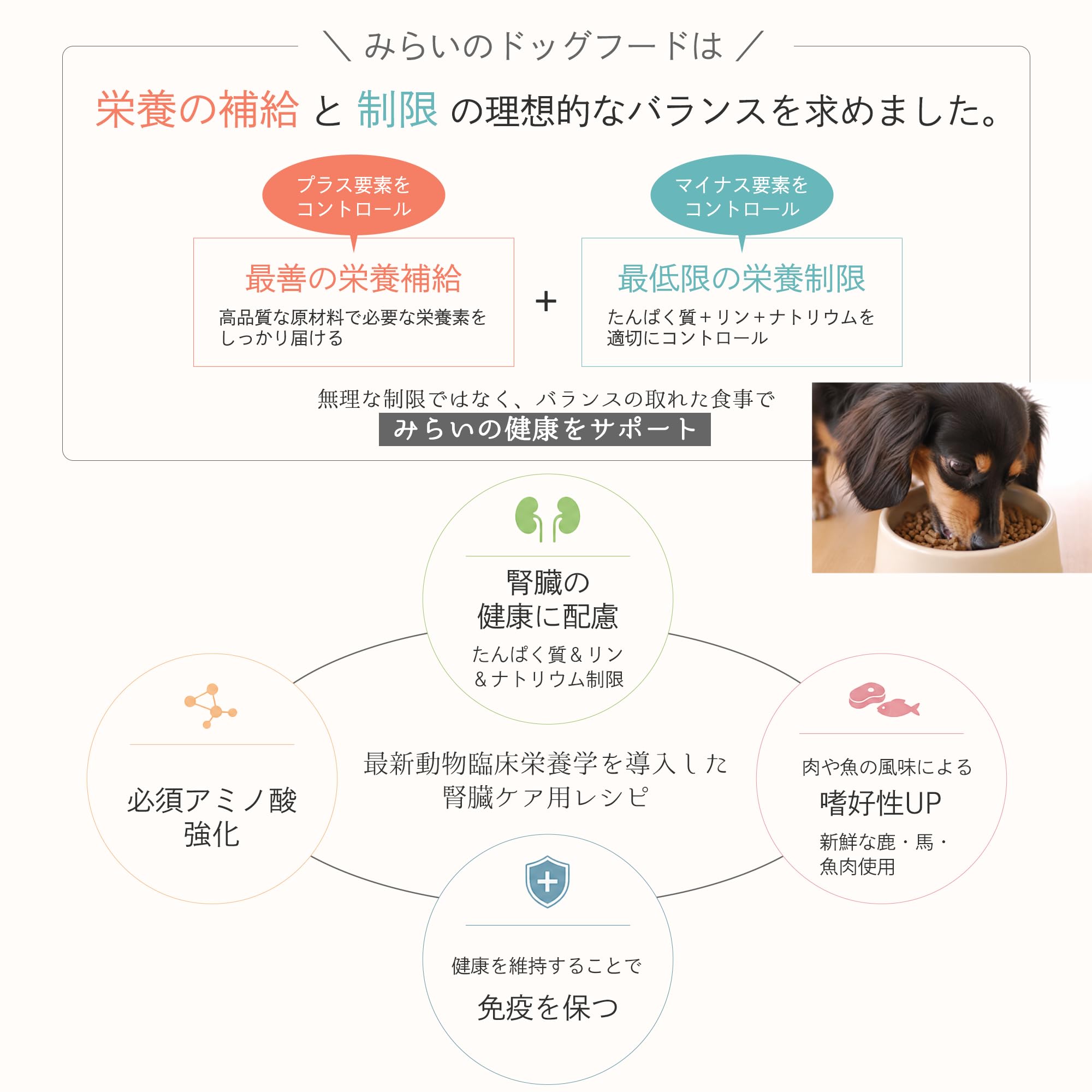 Amazon.co.jp: 和漢みらいのドッグフード 腎臓ケア 1kg×1袋 特別療法食