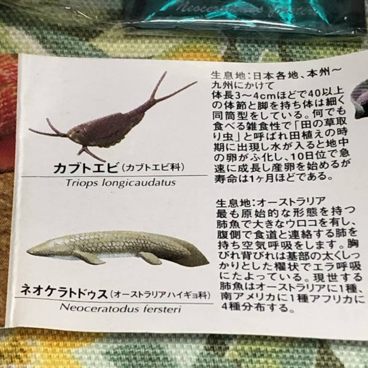 Amazon.co.jp: 地球生命紀行 生きた化石 フィギュアコレクション 